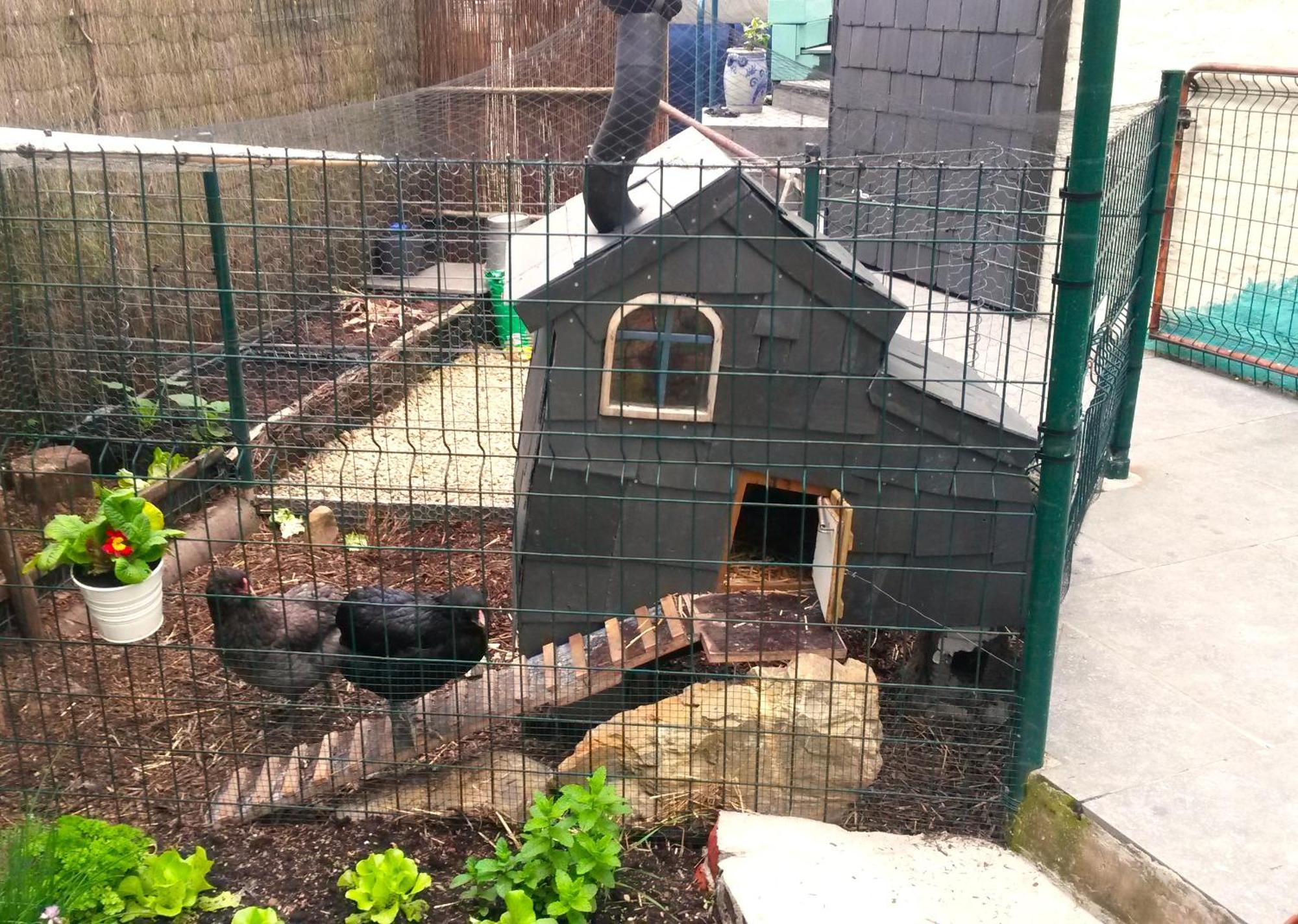 Aux Deux Amis Apartamento Stavelot Exterior foto